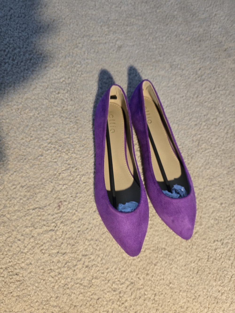 Ollio Women's Pointed Toe Flats in Purple Suede